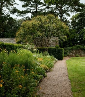 pascal-bullan-kwSQrqzKXWM-unsplash